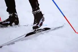 telemark ski length