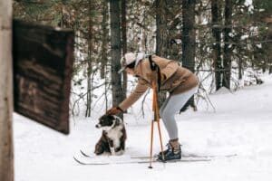 The Best Ski Poles for Cross Country
